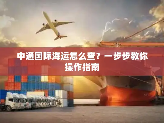 中通国际海运怎么查？一步步教你操作指南