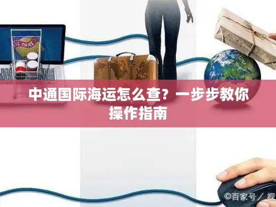 中通国际海运怎么查？一步步教你操作指南
