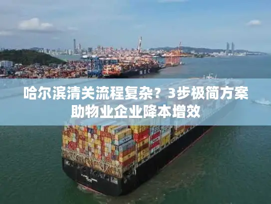 哈尔滨清关流程复杂？3步极简方案助物业企业降本增效