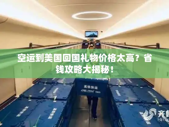 空运到美国回国礼物价格太高？省钱攻略大揭秘！