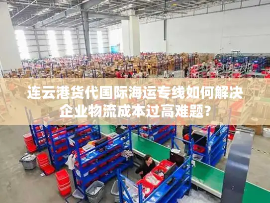 连云港货代国际海运专线如何解决企业物流成本过高难题？