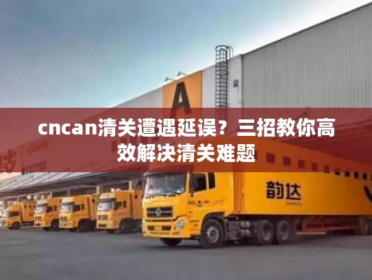 cncan清关遭遇延误？三招教你高效解决清关难题