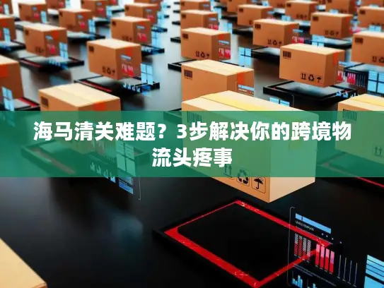 海马清关难题？3步解决你的跨境物流头疼事