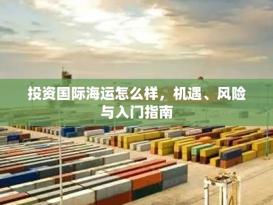 投资国际海运怎么样，机遇、风险与入门指南
