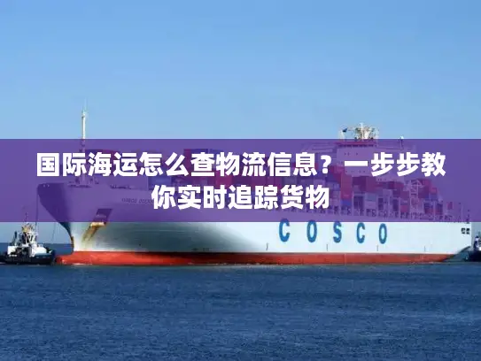 国际海运怎么查物流信息？一步步教你实时追踪货物