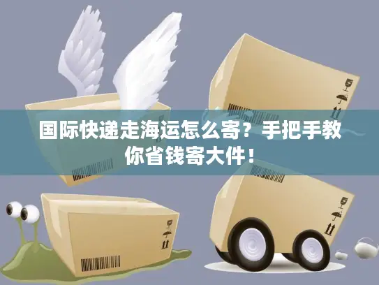 国际快递走海运怎么寄？手把手教你省钱寄大件！