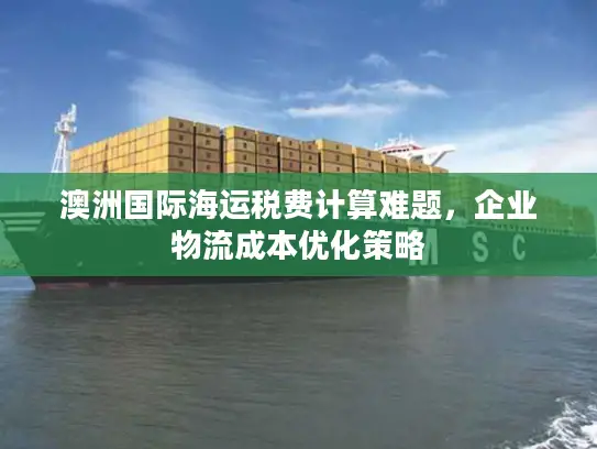 澳洲国际海运税费计算难题，企业物流成本优化策略