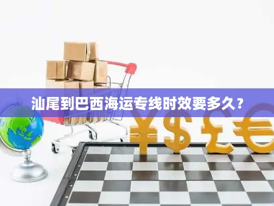 汕尾到巴西海运专线时效要多久？