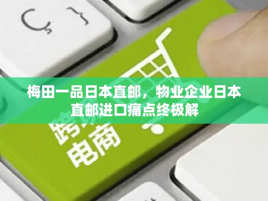 梅田一品日本直邮，物业企业日本直邮进口痛点终极解