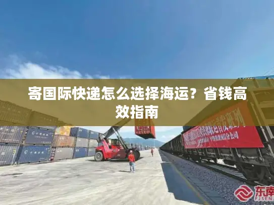 寄国际快递怎么选择海运？省钱高效指南