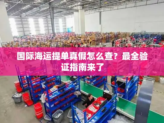 国际海运提单真假怎么查？最全验证指南来了