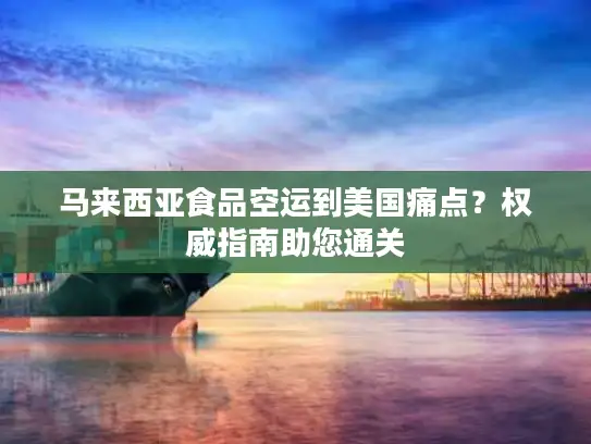 马来西亚食品空运到美国痛点？权威指南助您通关