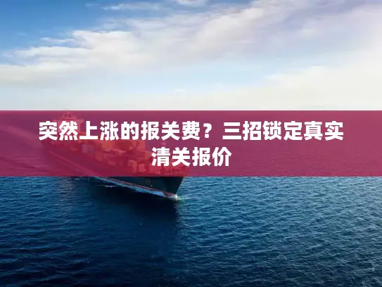 突然上涨的报关费？三招锁定真实清关报价