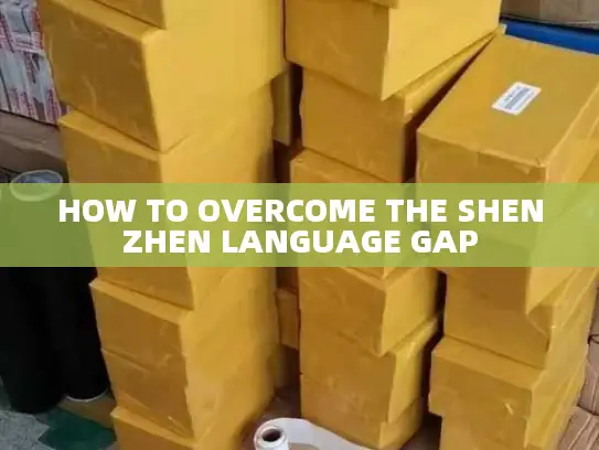 HOW TO OVERCOME THE SHENZHEN LANGUAGE GAP