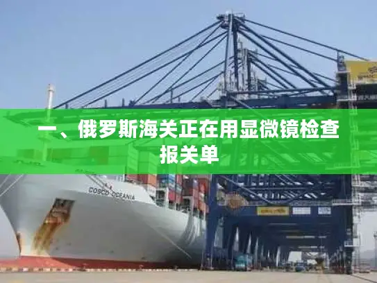 一、俄罗斯海关正在用显微镜检查报关单