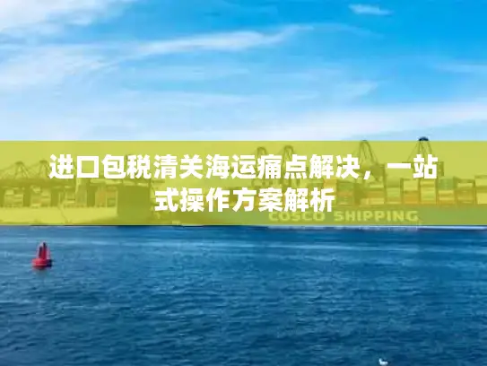 进口包税清关海运痛点解决，一站式操作方案解析