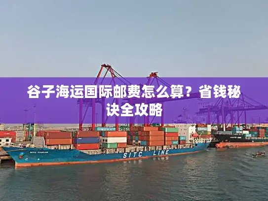 谷子海运国际邮费怎么算？省钱秘诀全攻略