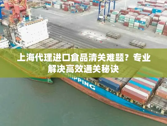 上海代理进口食品清关难题？专业解决高效通关秘诀