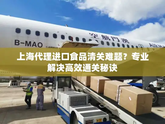 上海代理进口食品清关难题？专业解决高效通关秘诀