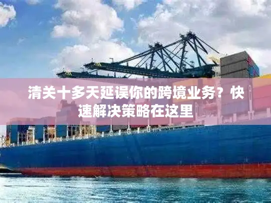 清关十多天延误你的跨境业务？快速解决策略在这里