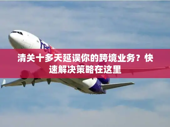 清关十多天延误你的跨境业务？快速解决策略在这里