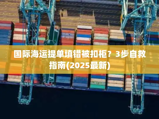 国际海运提单填错被扣柜？3步自救指南(2025最新)