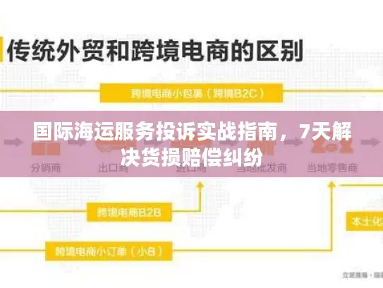 国际海运服务投诉实战指南，7天解决货损赔偿纠纷
