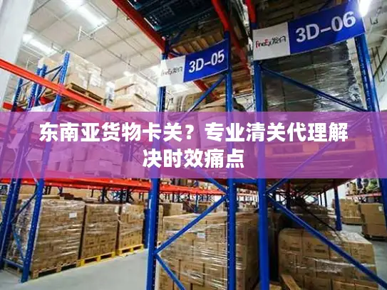 东南亚货物卡关？专业清关代理解决时效痛点