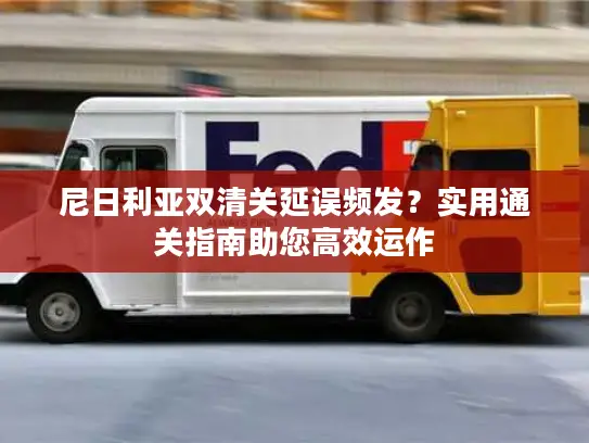 尼日利亚双清关延误频发？实用通关指南助您高效运作