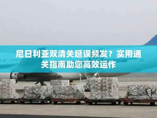 尼日利亚双清关延误频发？实用通关指南助您高效运作