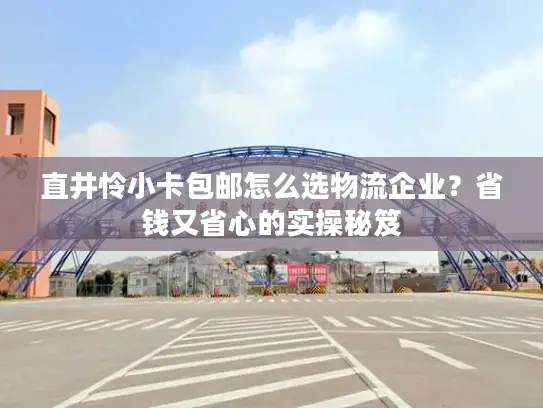 直井怜小卡包邮怎么选物流企业？省钱又省心的实操秘笈