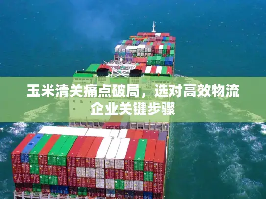 玉米清关痛点破局，选对高效物流企业关键步骤