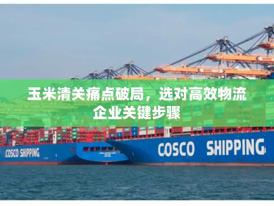 玉米清关痛点破局，选对高效物流企业关键步骤