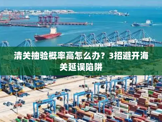 清关抽验概率高怎么办？3招避开海关延误陷阱