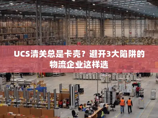 UCS清关总是卡壳？避开3大陷阱的物流企业这样选