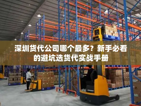 深圳货代公司哪个最多？新手必看的避坑选货代实战手册