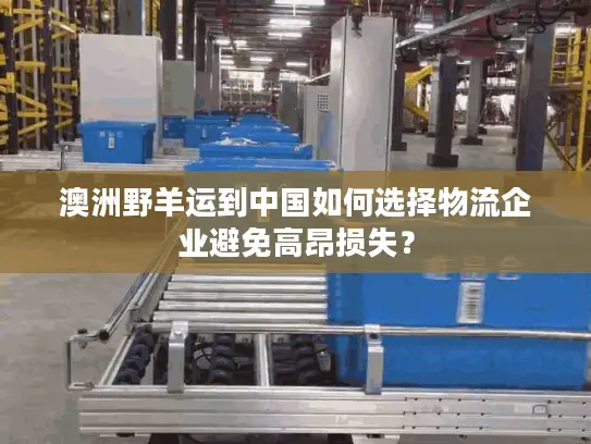 澳洲野羊运到中国如何选择物流企业避免高昂损失？