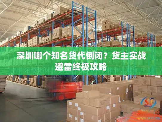 深圳哪个知名货代倒闭？货主实战避雷终极攻略