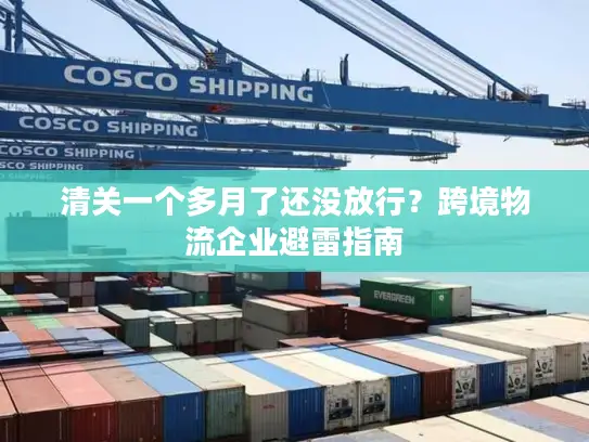 清关一个多月了还没放行？跨境物流企业避雷指南
