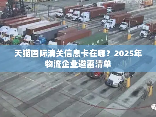 天猫国际清关信息卡在哪？2025年物流企业避雷清单