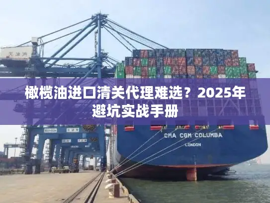 橄榄油进口清关代理难选？2025年避坑实战手册