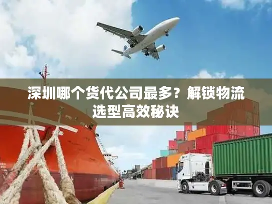 深圳哪个货代公司最多？解锁物流选型高效秘诀
