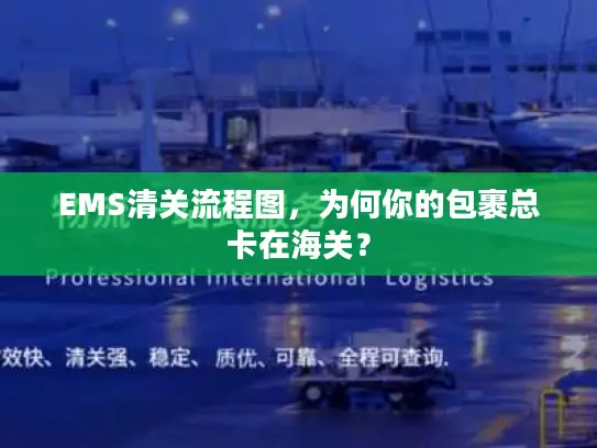 EMS清关流程图，为何你的包裹总卡在海关？
