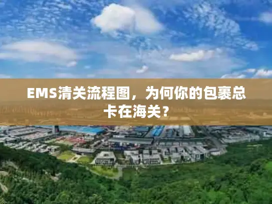 EMS清关流程图，为何你的包裹总卡在海关？