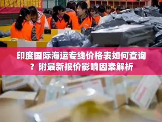 印度国际海运专线价格表如何查询？附最新报价影响因素解析