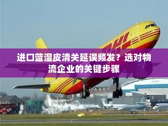 进口蓝湿皮清关延误频发？选对物流企业的关键步骤