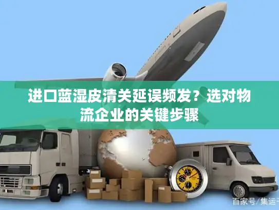 进口蓝湿皮清关延误频发？选对物流企业的关键步骤