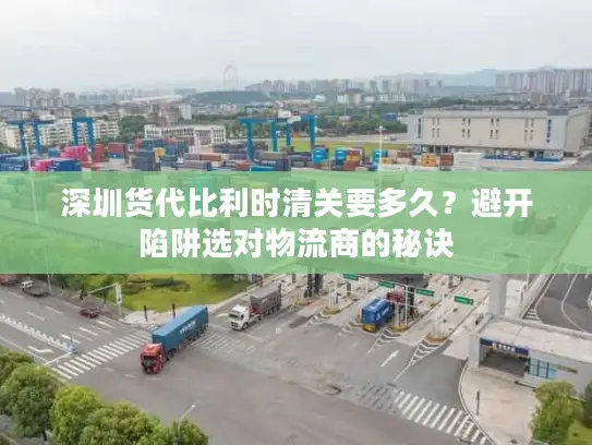 深圳货代比利时清关要多久？避开陷阱选对物流商的秘诀