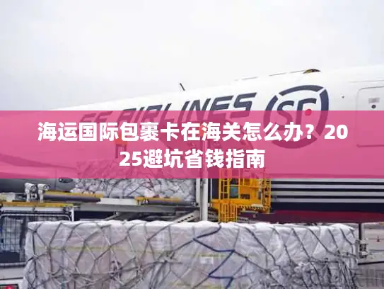 海运国际包裹卡在海关怎么办？2025避坑省钱指南
