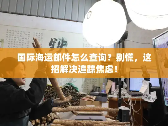 国际海运邮件怎么查询？别慌，这招解决追踪焦虑！